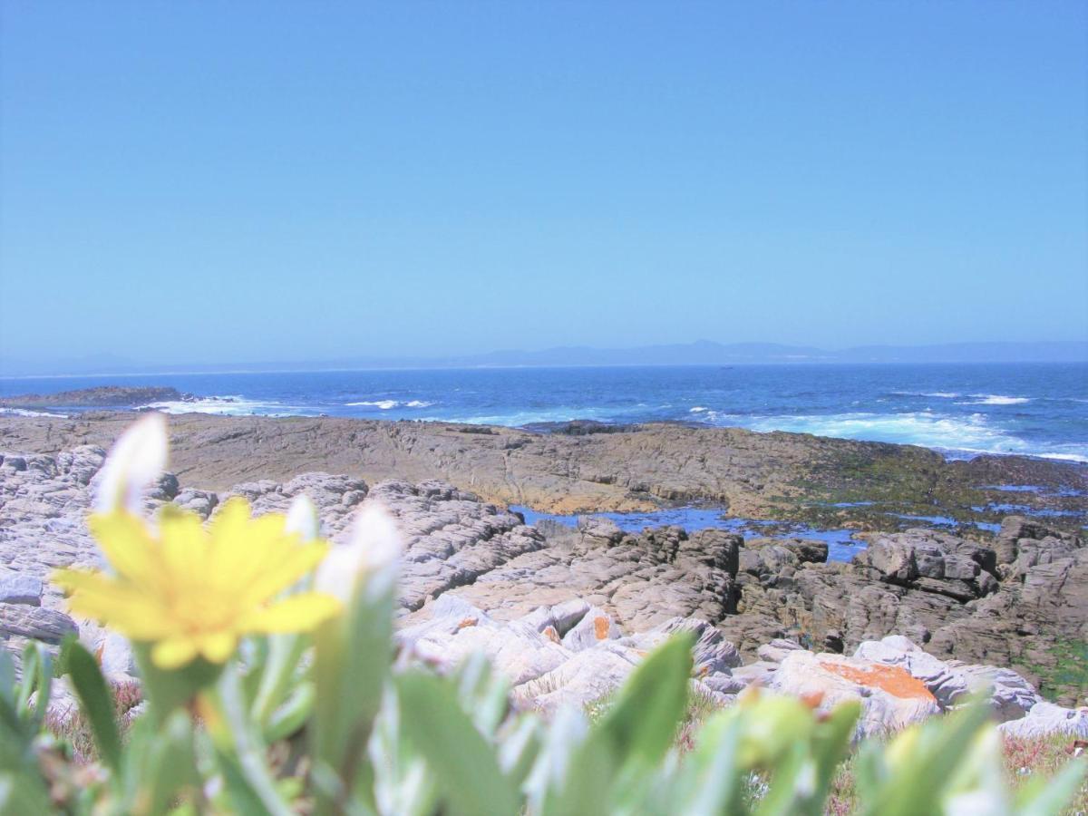 Beachfront House - Hermanus Whale View Villa Eksteriør billede
