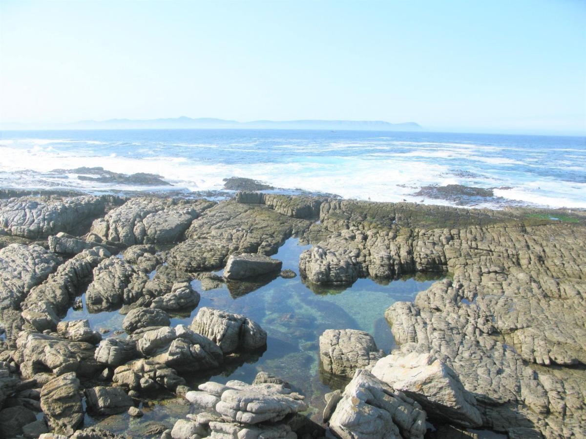 Beachfront House - Hermanus Whale View Villa Eksteriør billede